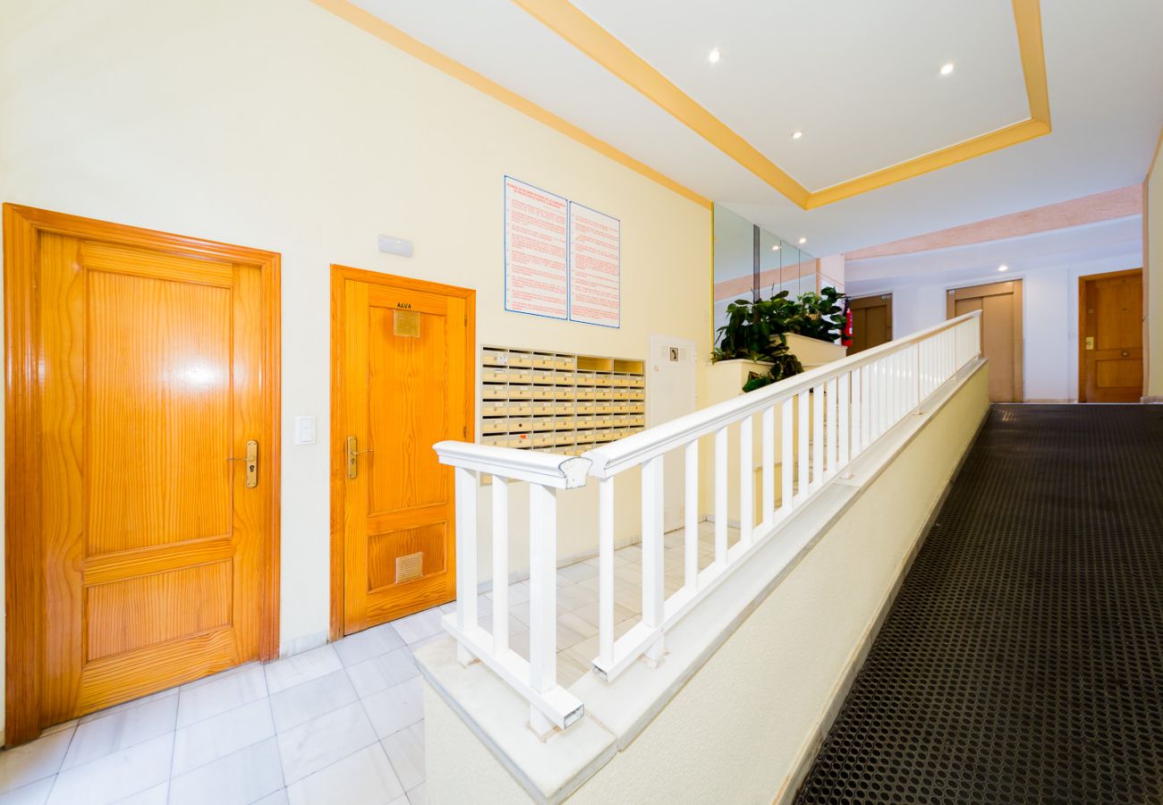 Apartamento en Torrevieja - ID94
