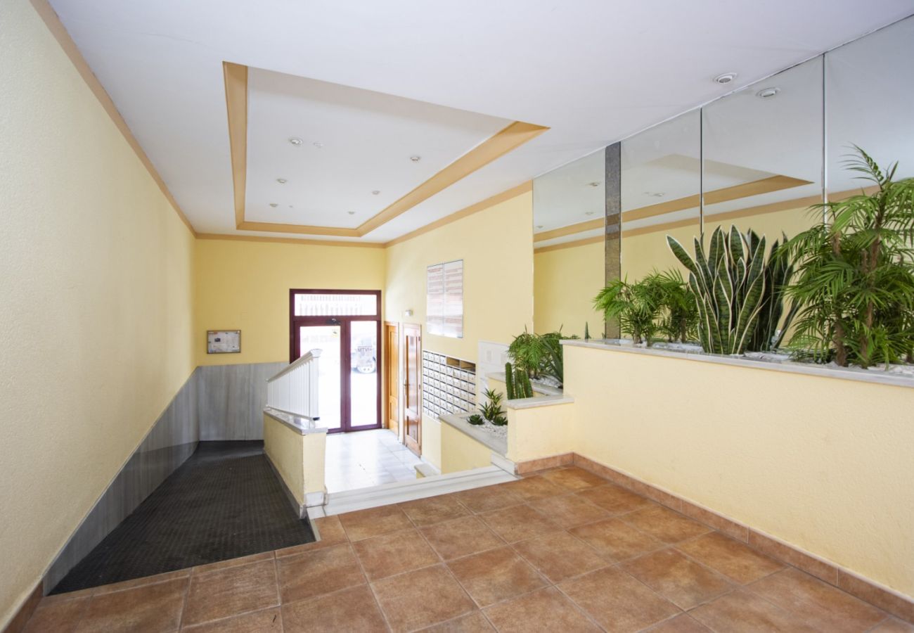 Apartamento en Torrevieja - ID94