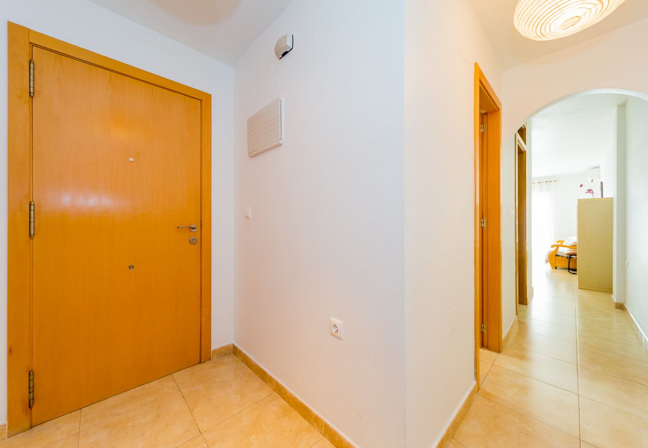 Apartamento en Torrevieja - ID133