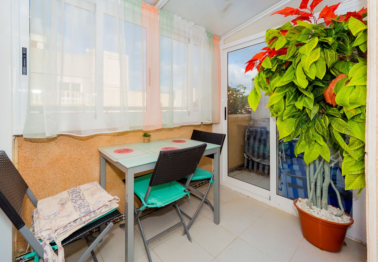 Apartamento en Torrevieja - ID63