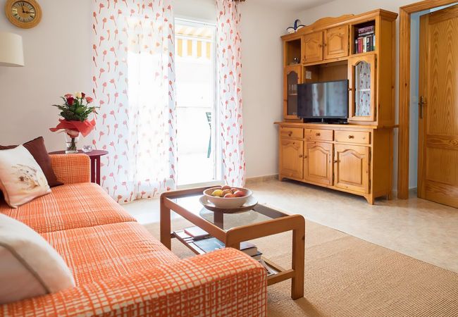 Apartamento en Torrevieja - ID5