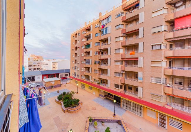 Estudio en Torrevieja - ID33