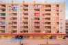 Estudio en Torrevieja - ID33 Estudio en Torrevieja - ID33