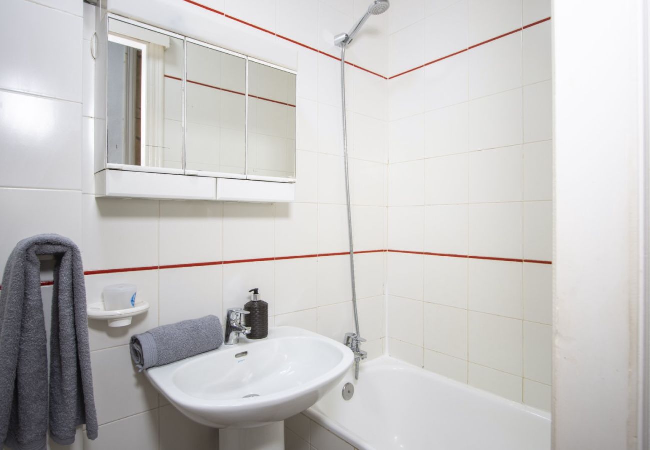 Estudio en Torrevieja - id12