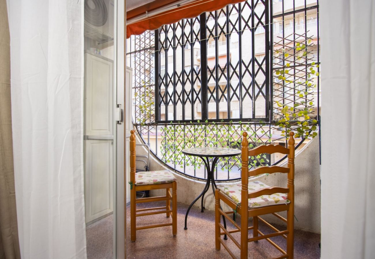 Estudio en Torrevieja - id12