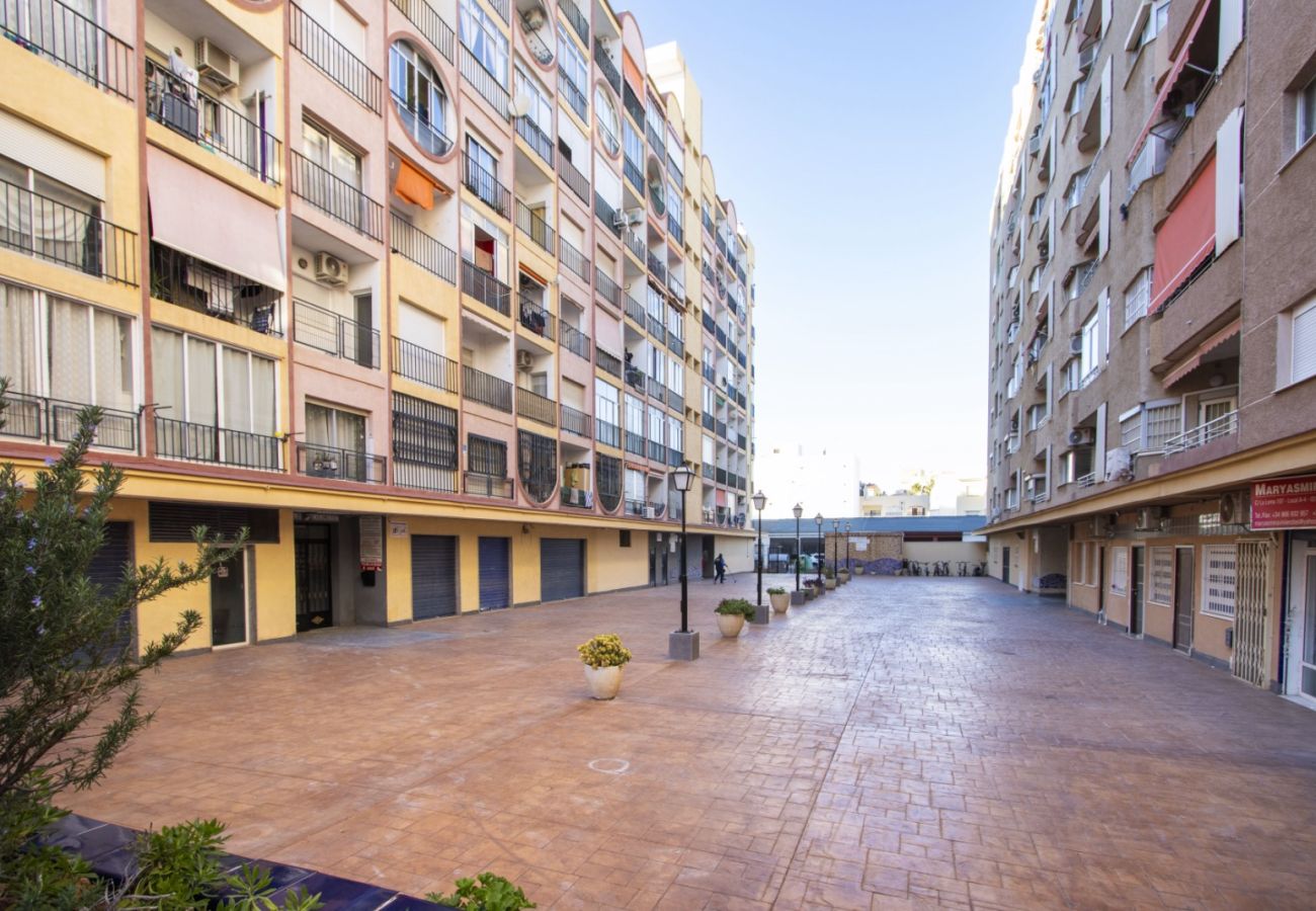 Estudio en Torrevieja - id12