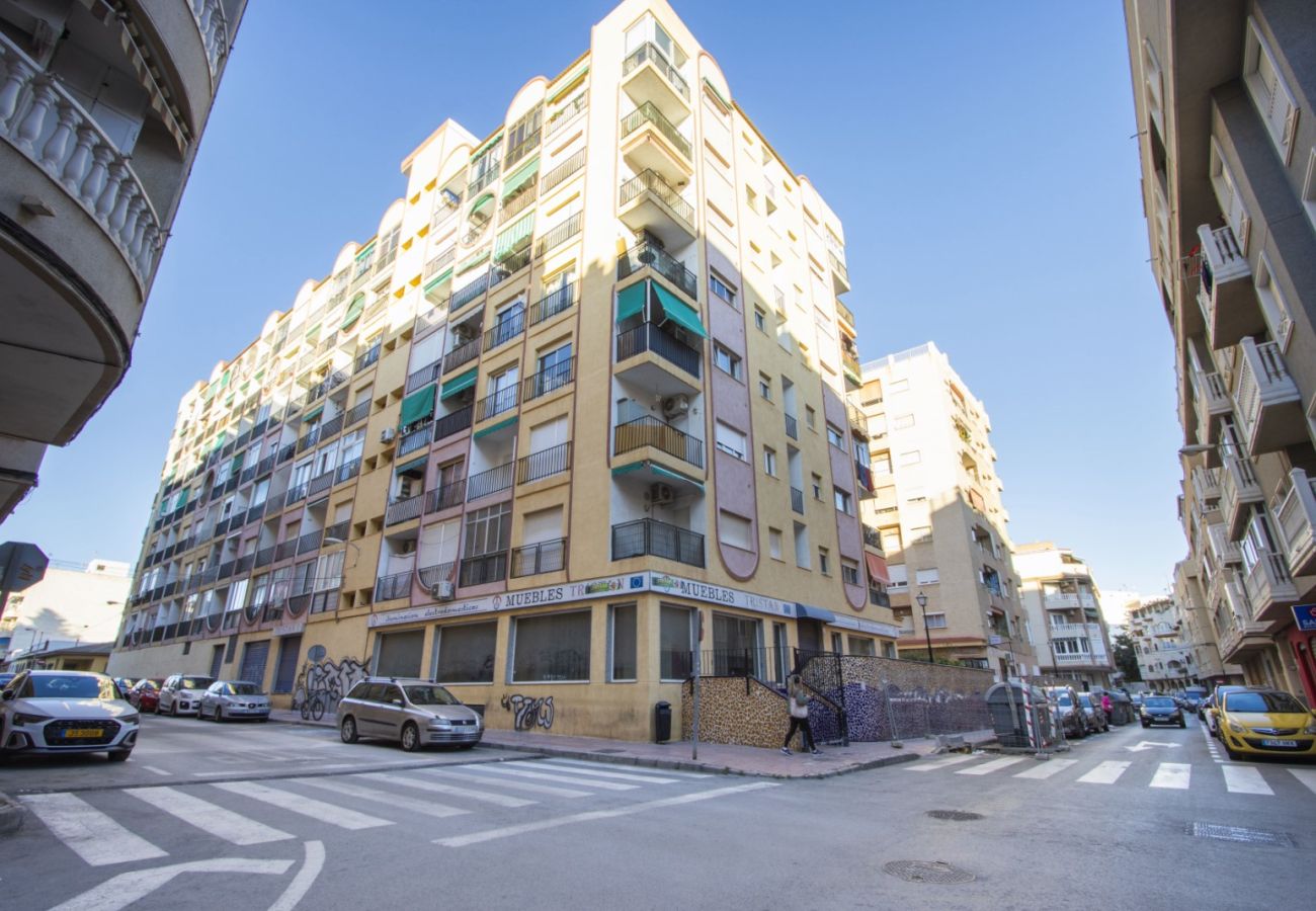 Estudio en Torrevieja - id12