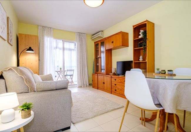 Estudio en Torrevieja - ID107