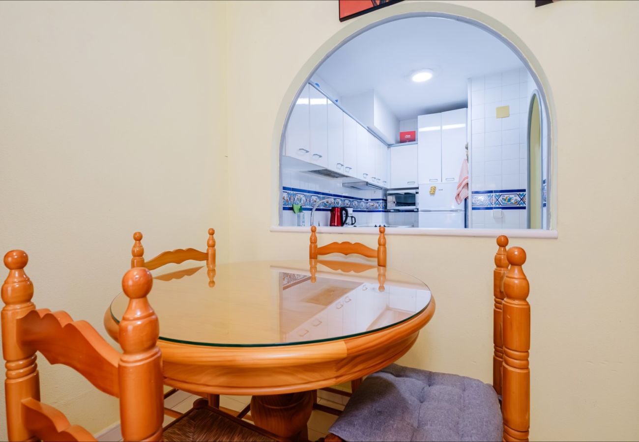 Estudio en Torrevieja - ID107