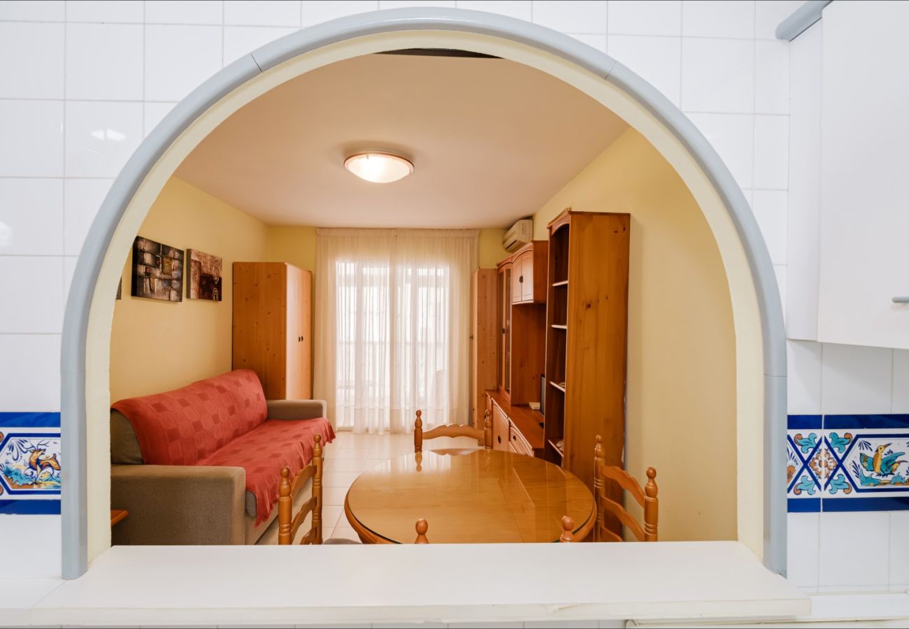 Estudio en Torrevieja - ID107