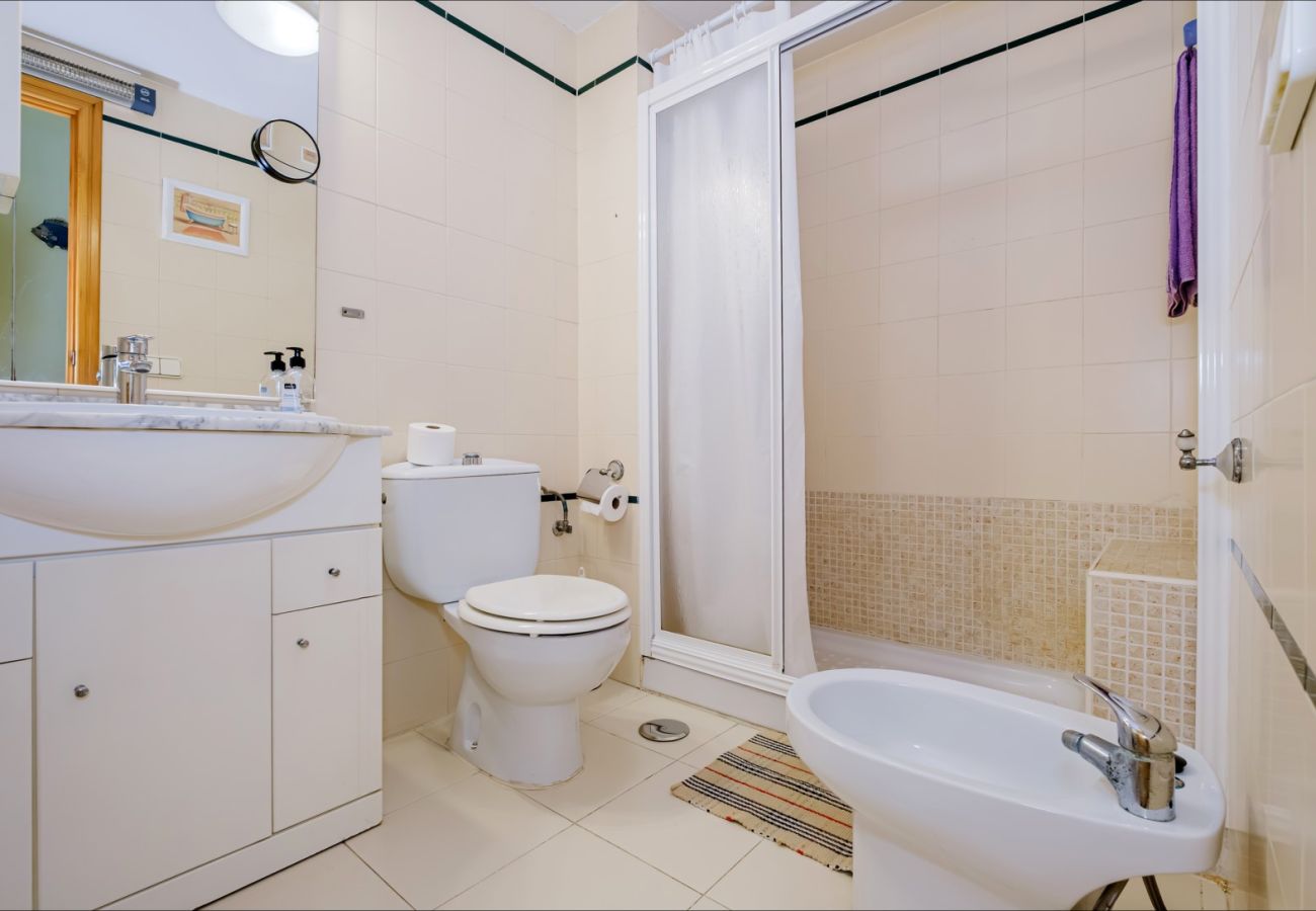Estudio en Torrevieja - ID107