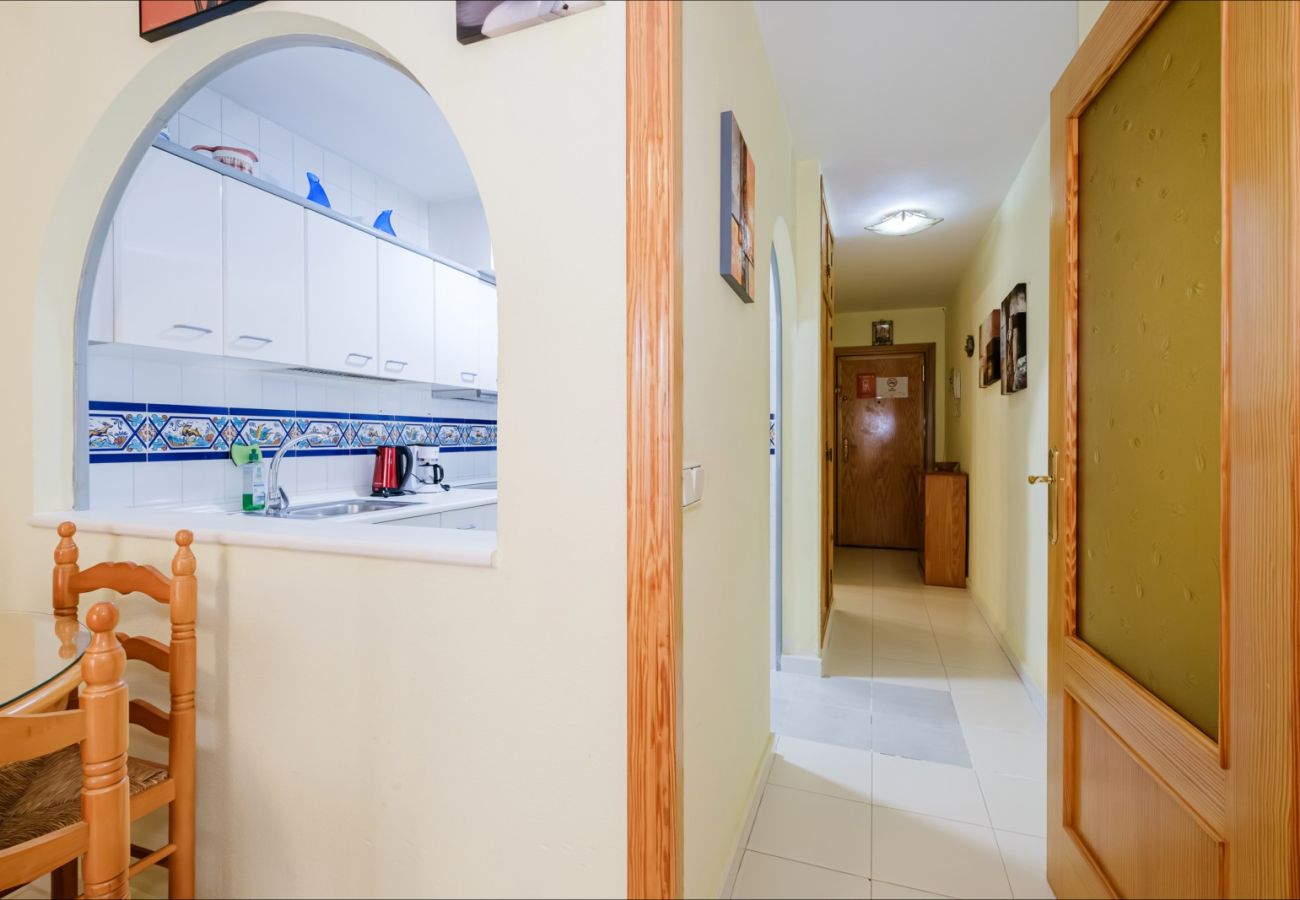 Estudio en Torrevieja - ID107
