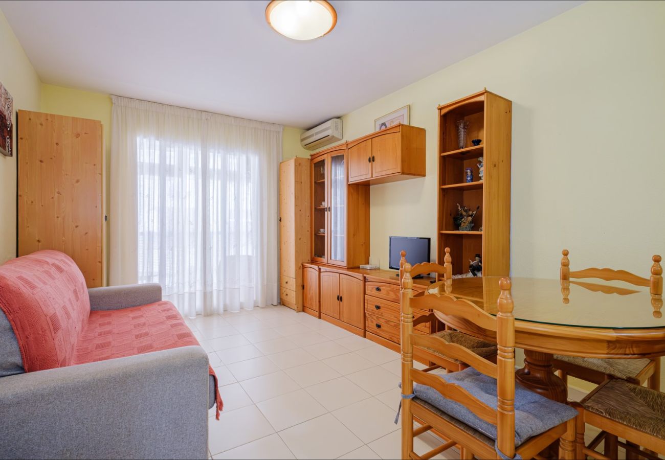 Estudio en Torrevieja - ID107