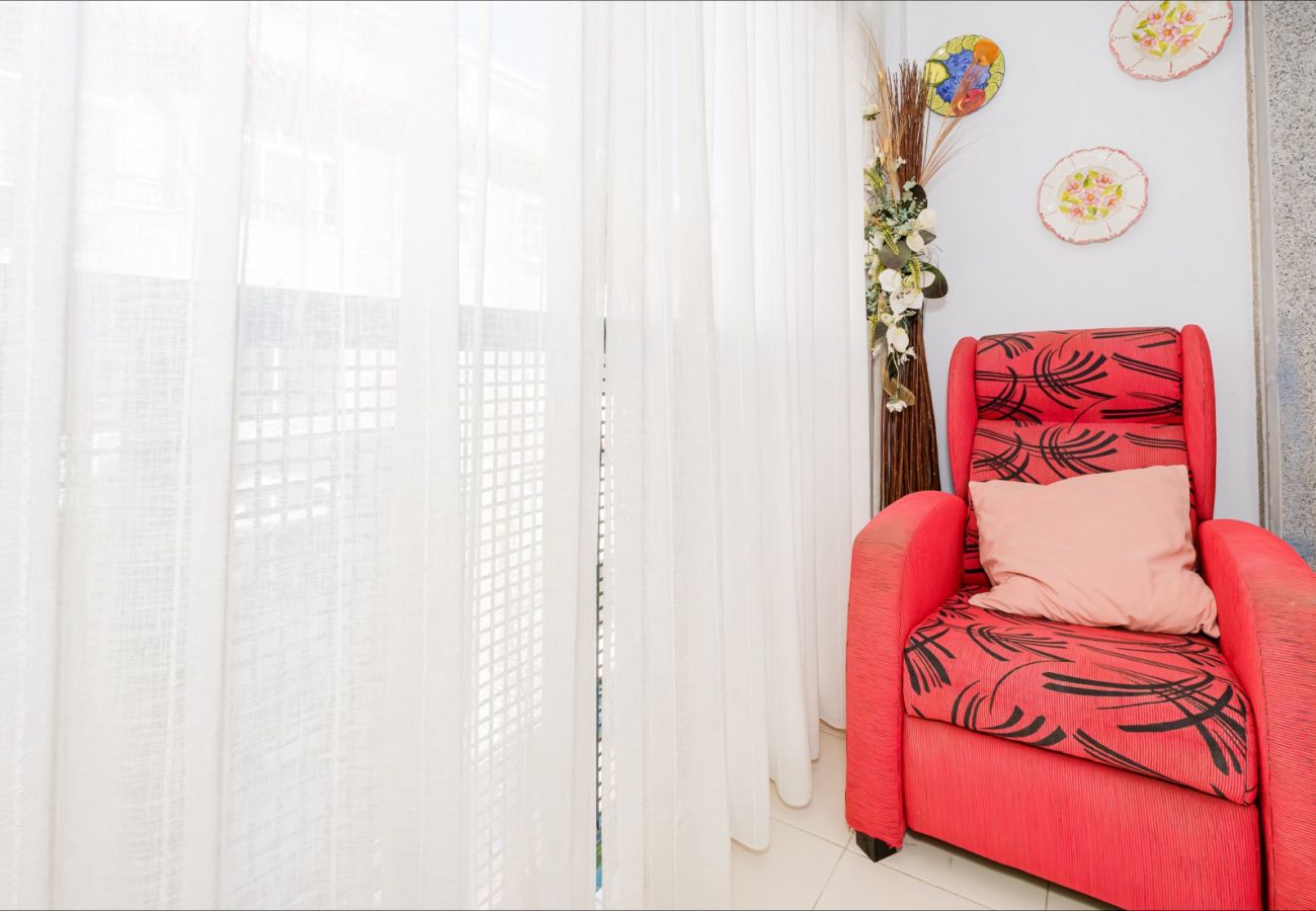 Estudio en Torrevieja - ID107