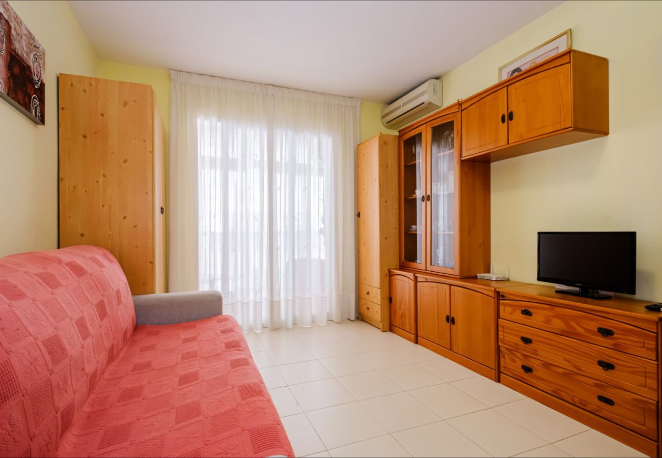 Estudio en Torrevieja - ID107