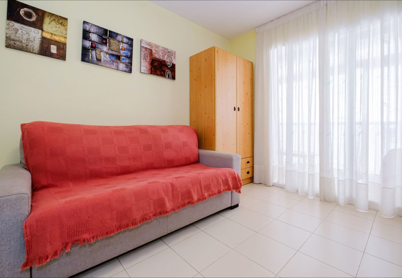 Estudio en Torrevieja - ID107