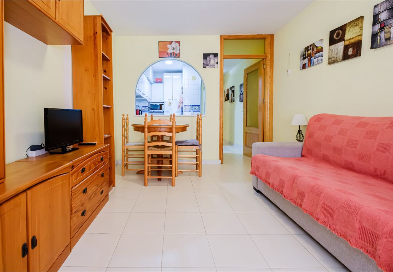 Estudio en Torrevieja - ID107