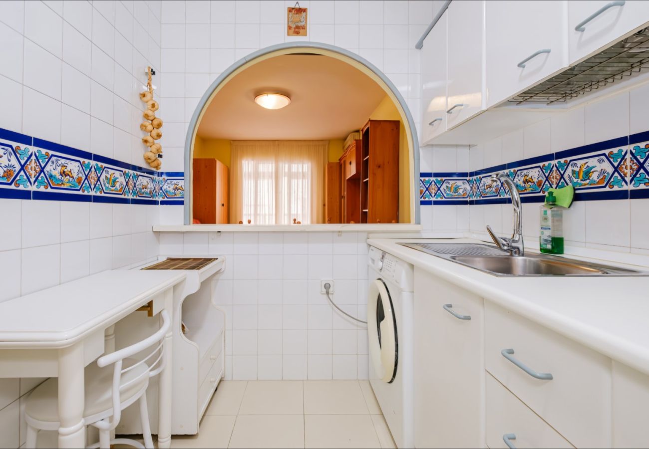 Estudio en Torrevieja - ID107
