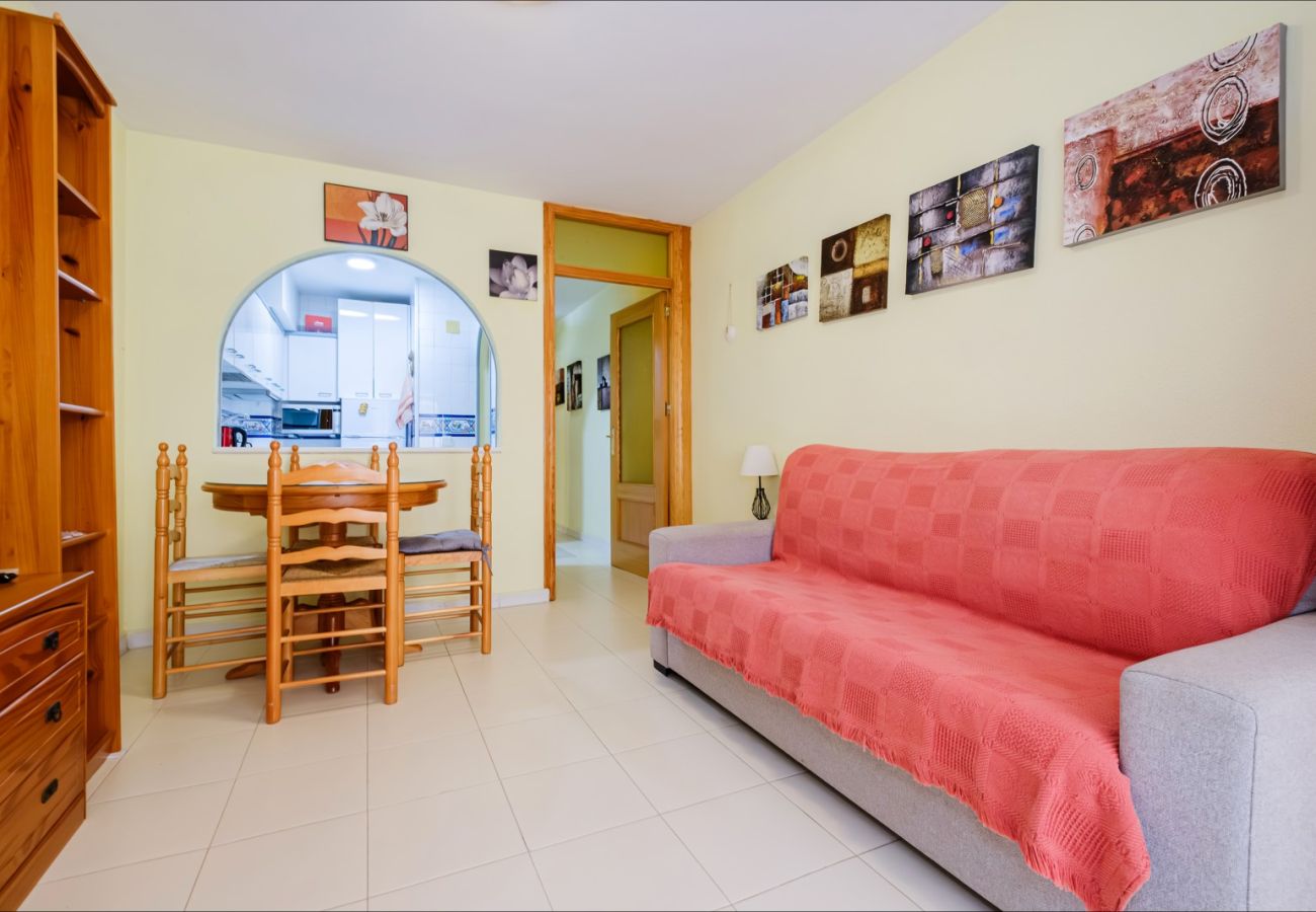 Estudio en Torrevieja - ID107