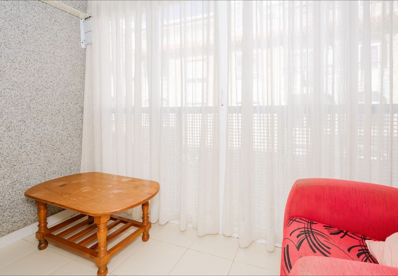 Estudio en Torrevieja - ID107