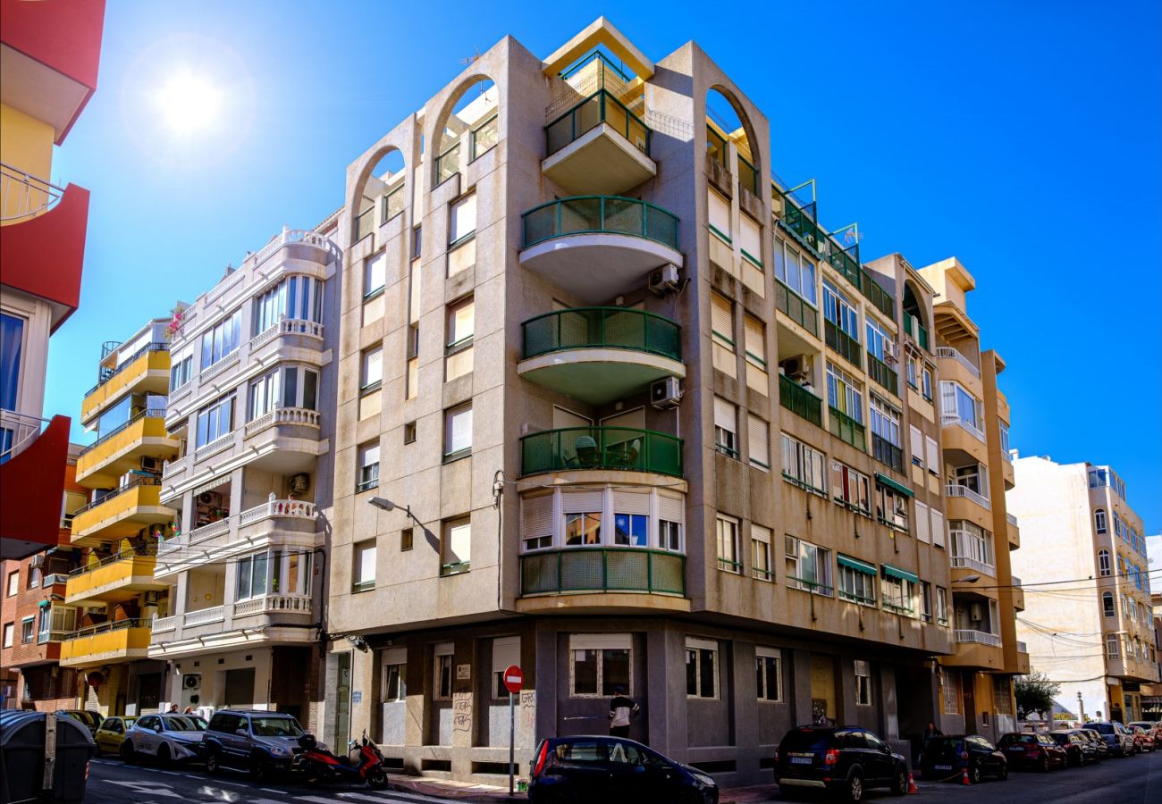 Estudio en Torrevieja - ID107