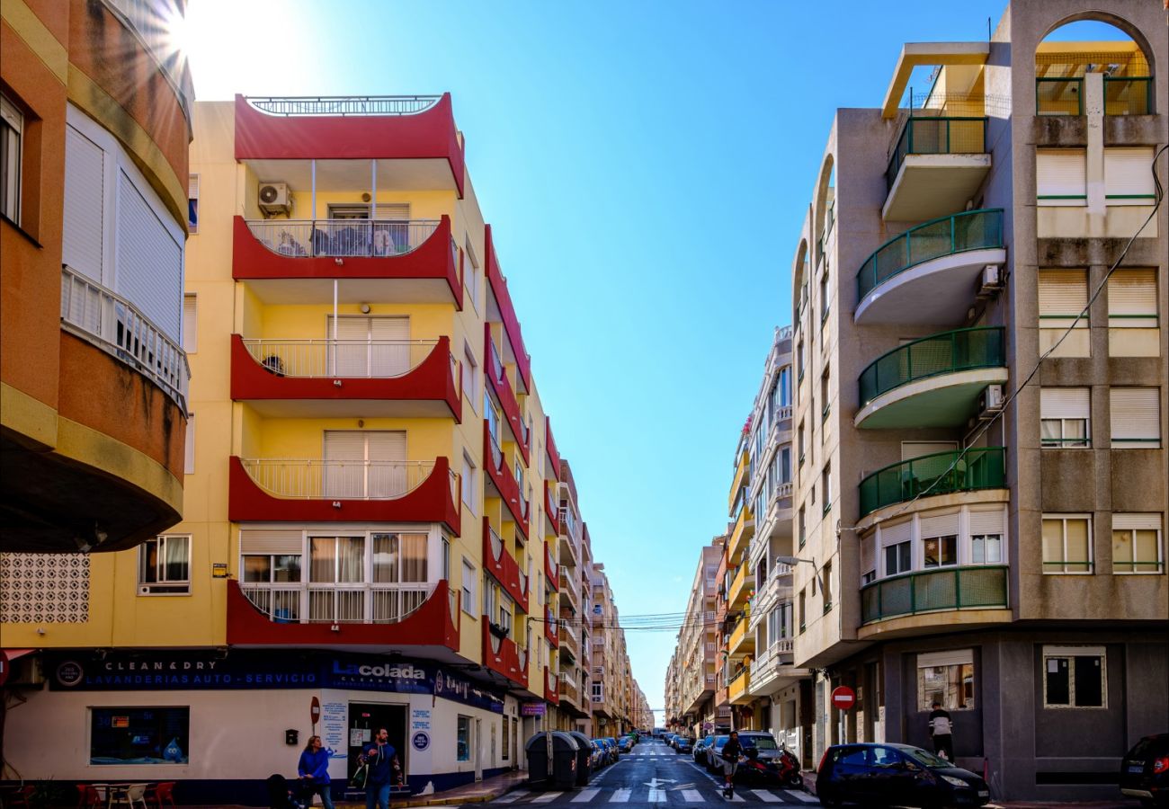 Estudio en Torrevieja - ID107