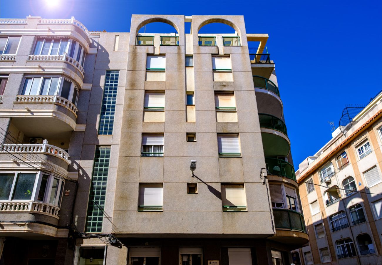 Estudio en Torrevieja - ID107