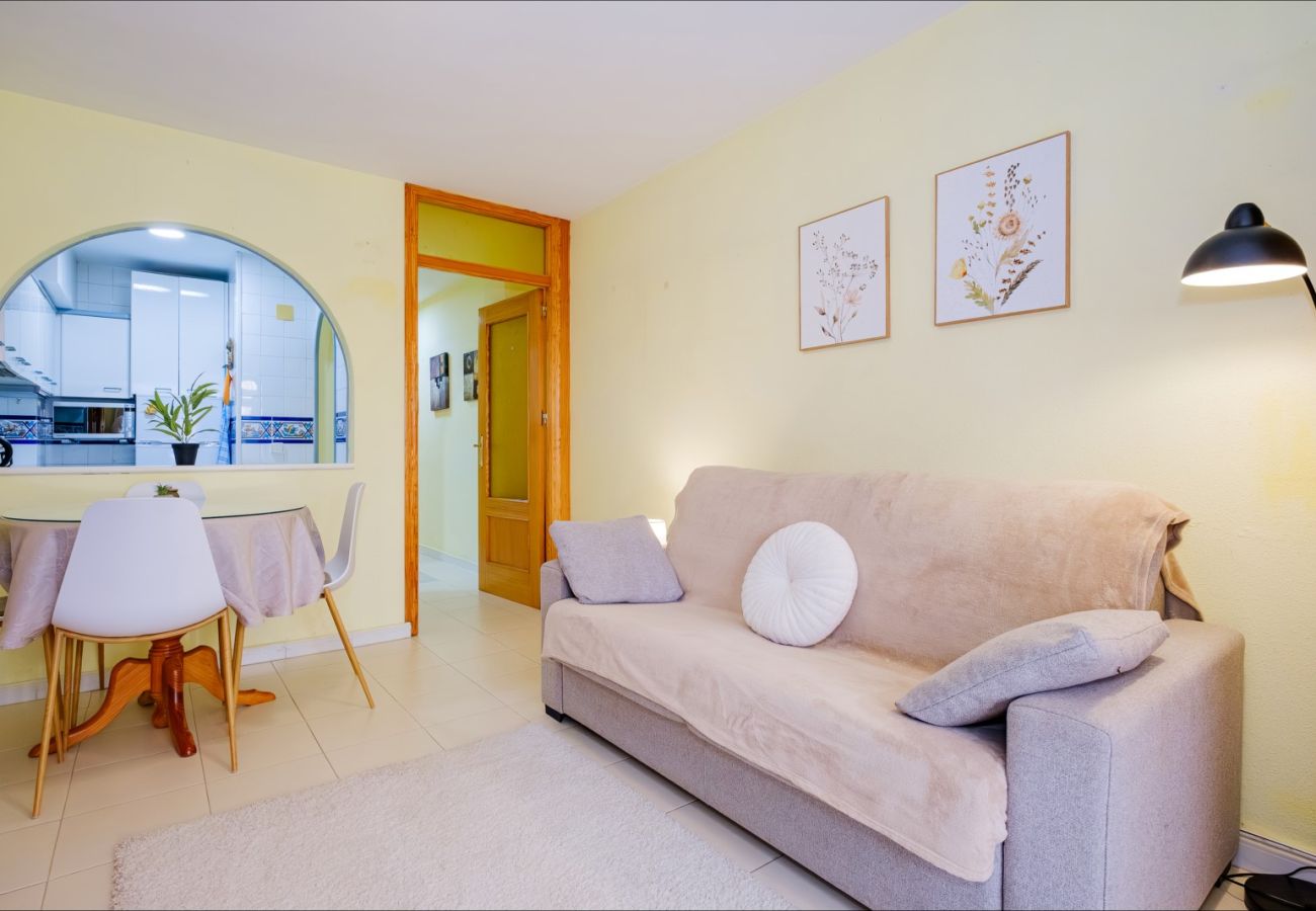 Estudio en Torrevieja - ID107