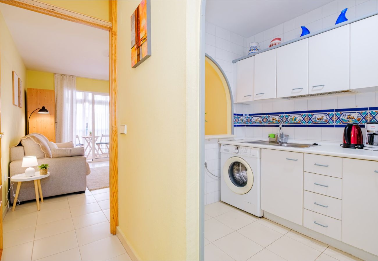 Estudio en Torrevieja - ID107