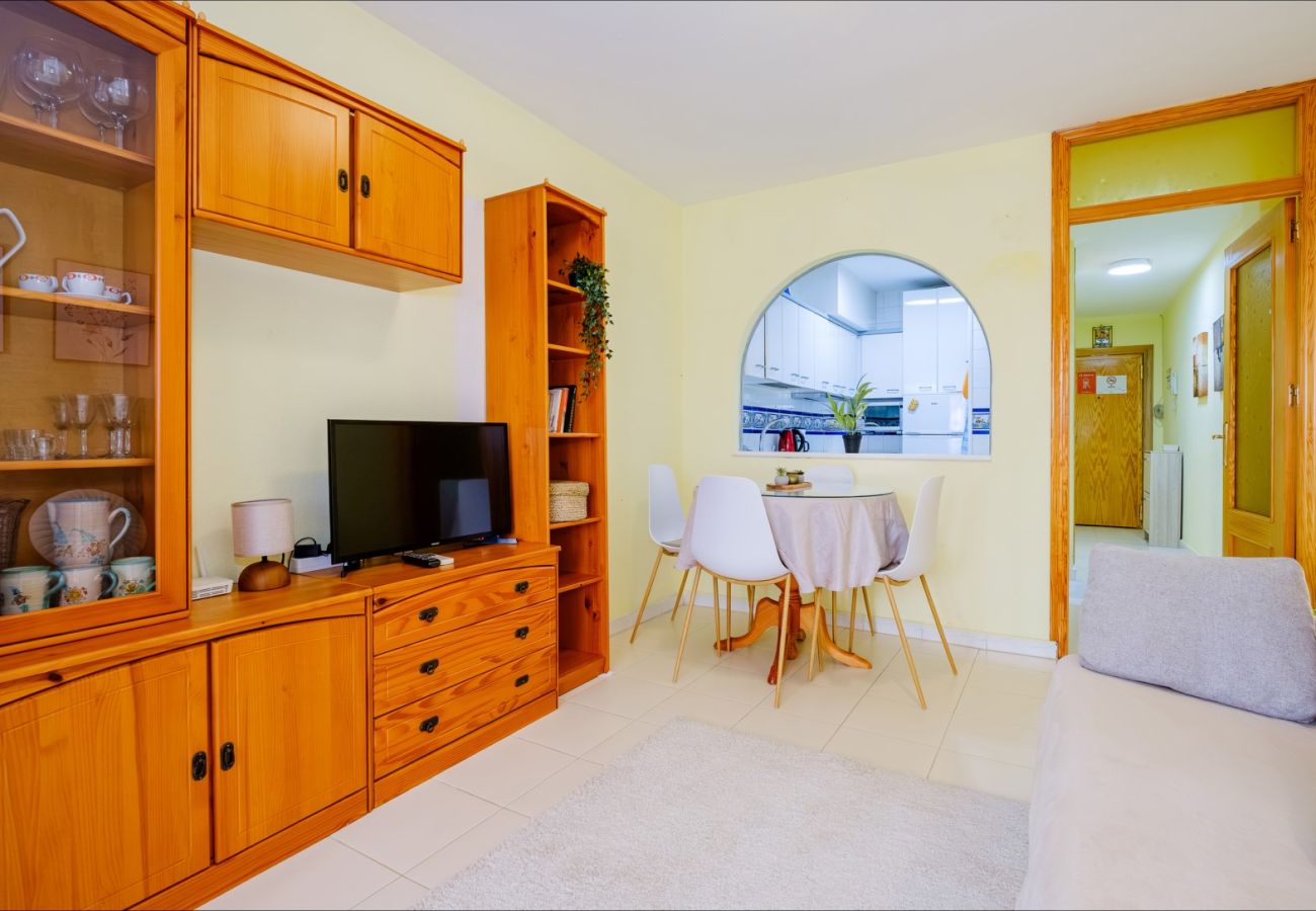 Estudio en Torrevieja - ID107