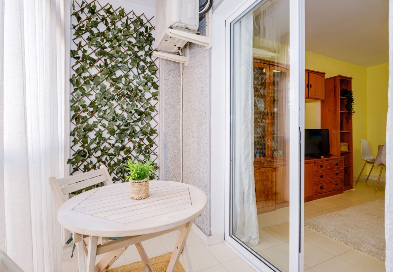 Estudio en Torrevieja - ID107