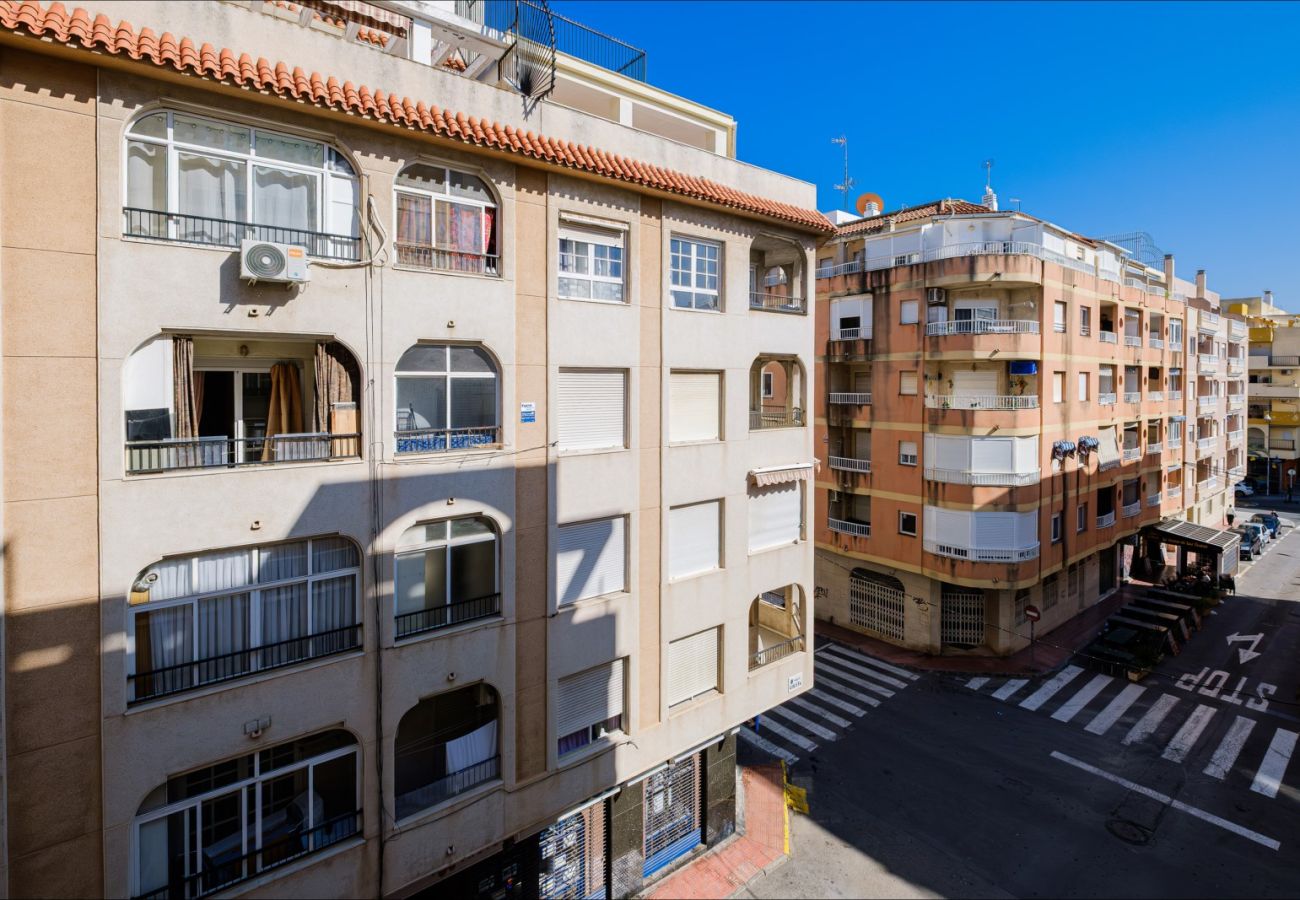 Estudio en Torrevieja - ID107