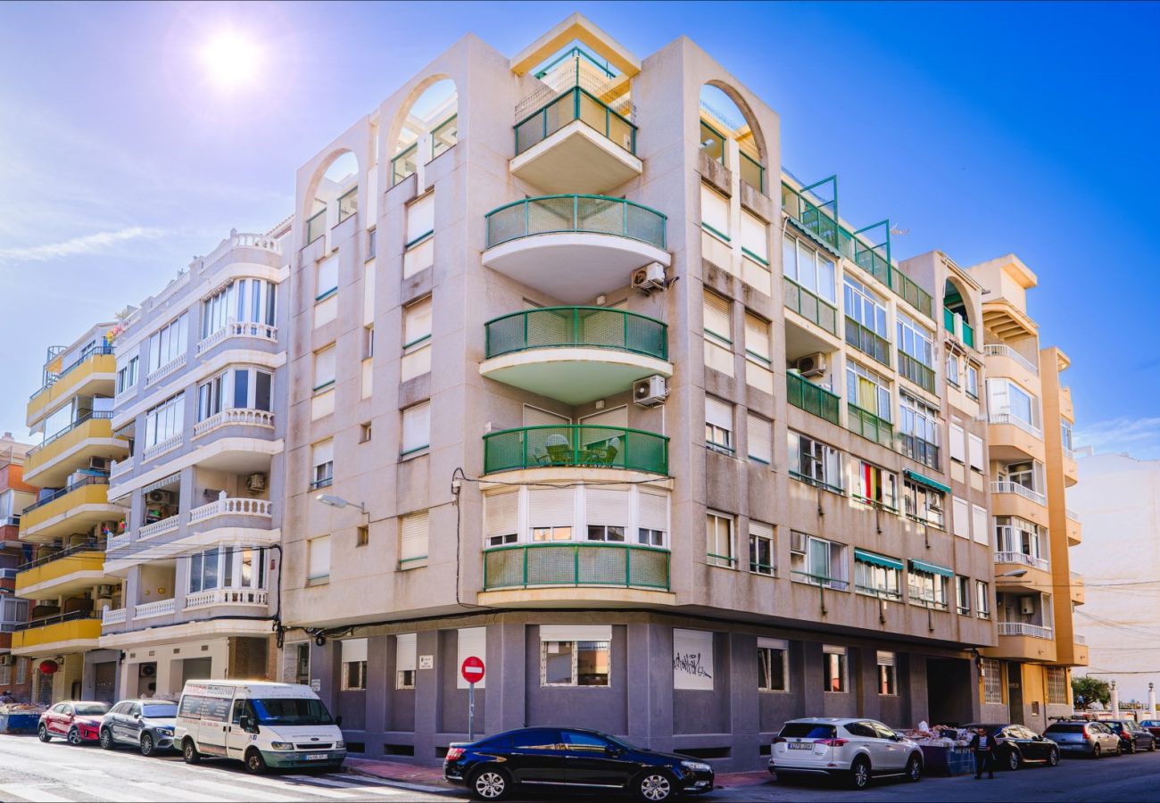 Estudio en Torrevieja - ID107