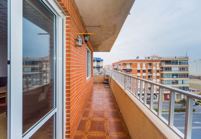 Apartamento en Torrevieja - ID106