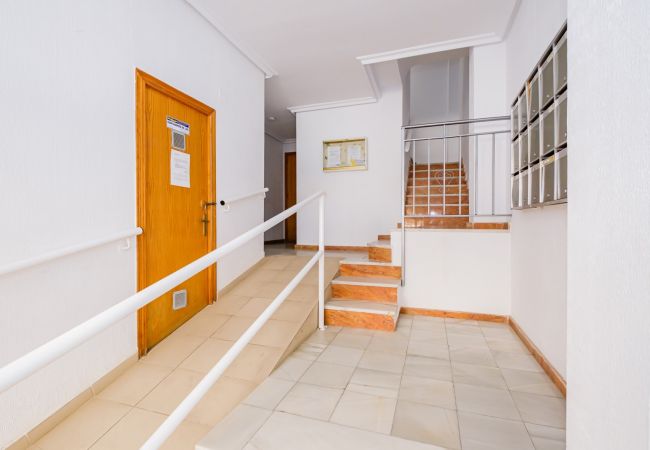 Apartamento en Torrevieja - ID19