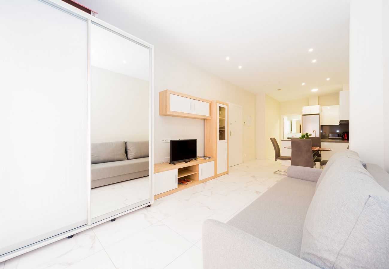 Estudio en Torrevieja - ID127