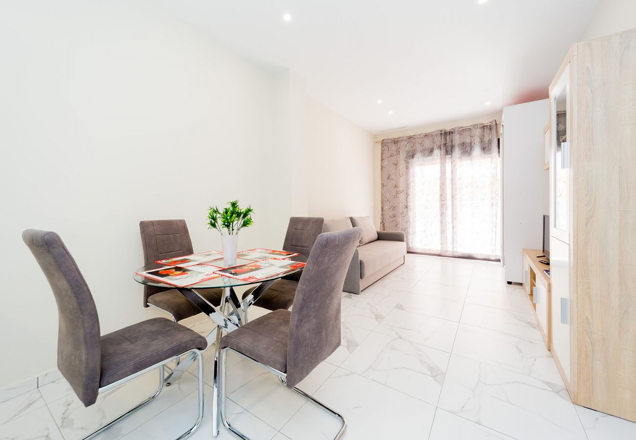 Estudio en Torrevieja - ID127