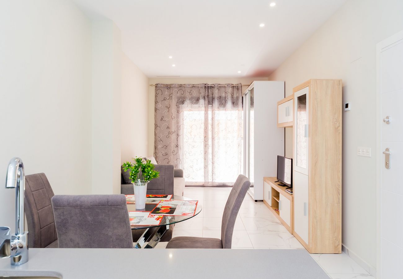 Estudio en Torrevieja - ID127