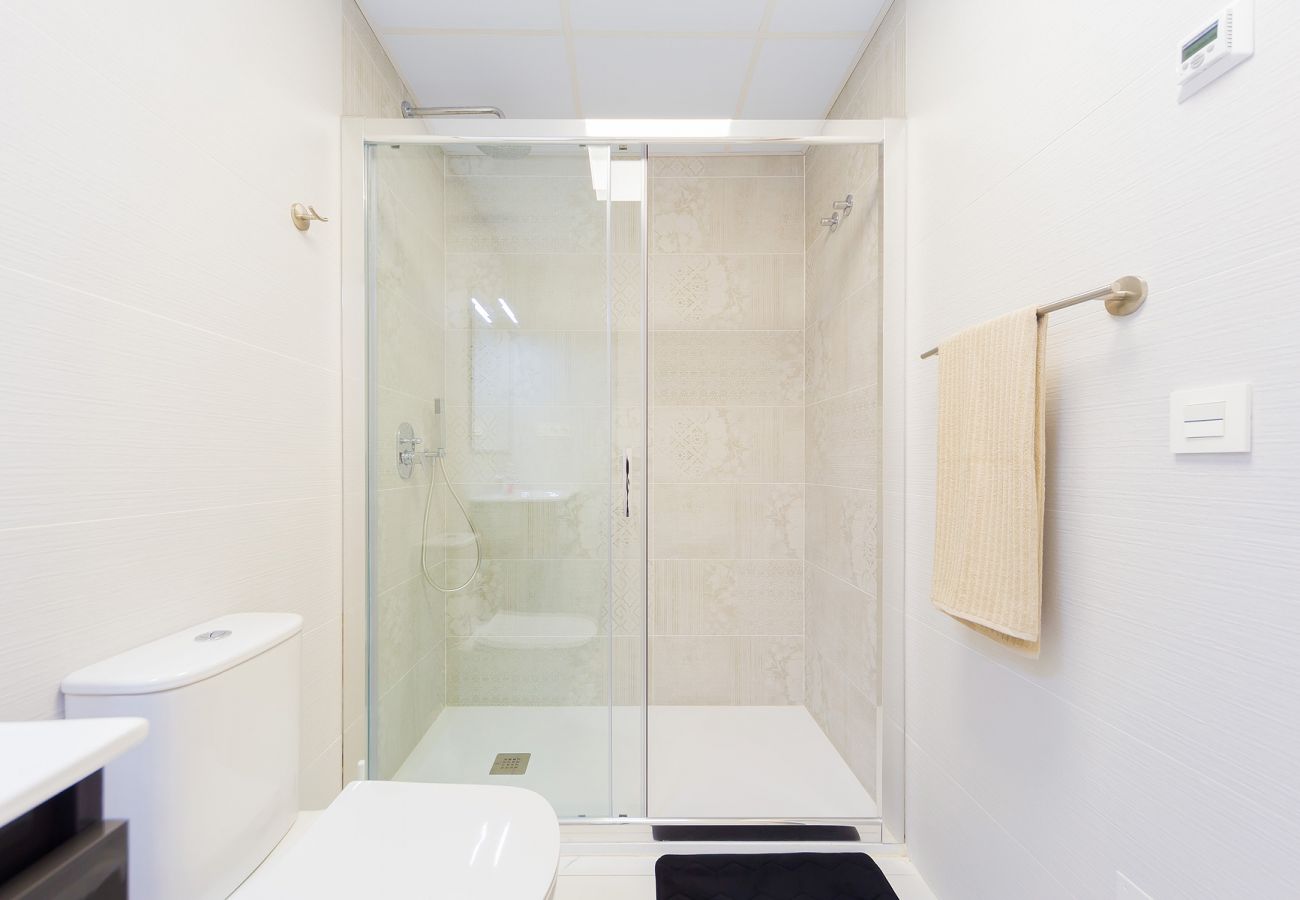 Estudio en Torrevieja - ID127