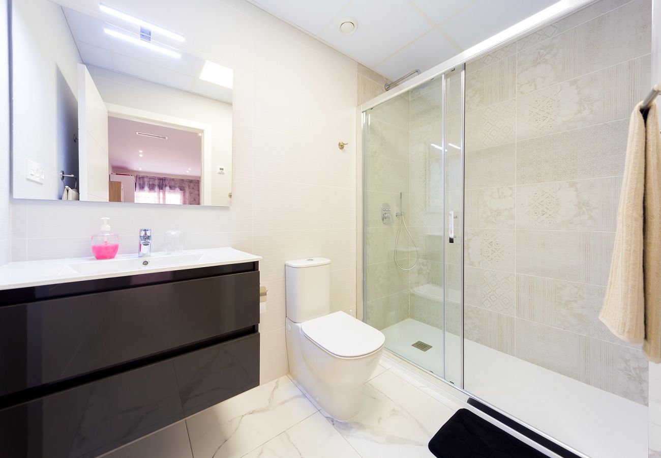 Estudio en Torrevieja - ID127