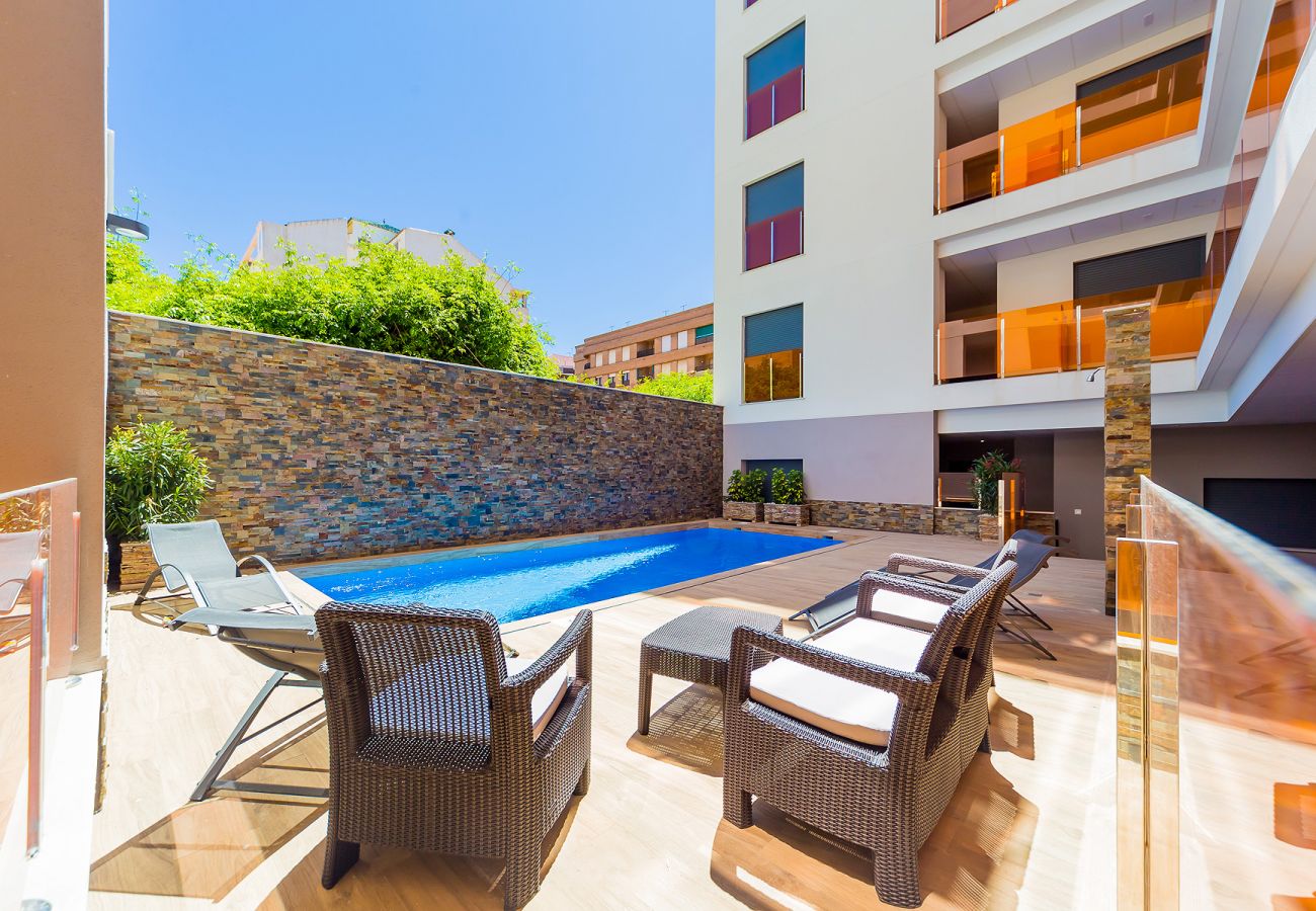 Estudio en Torrevieja - ID127