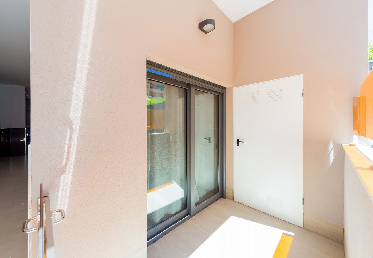 Estudio en Torrevieja - ID127