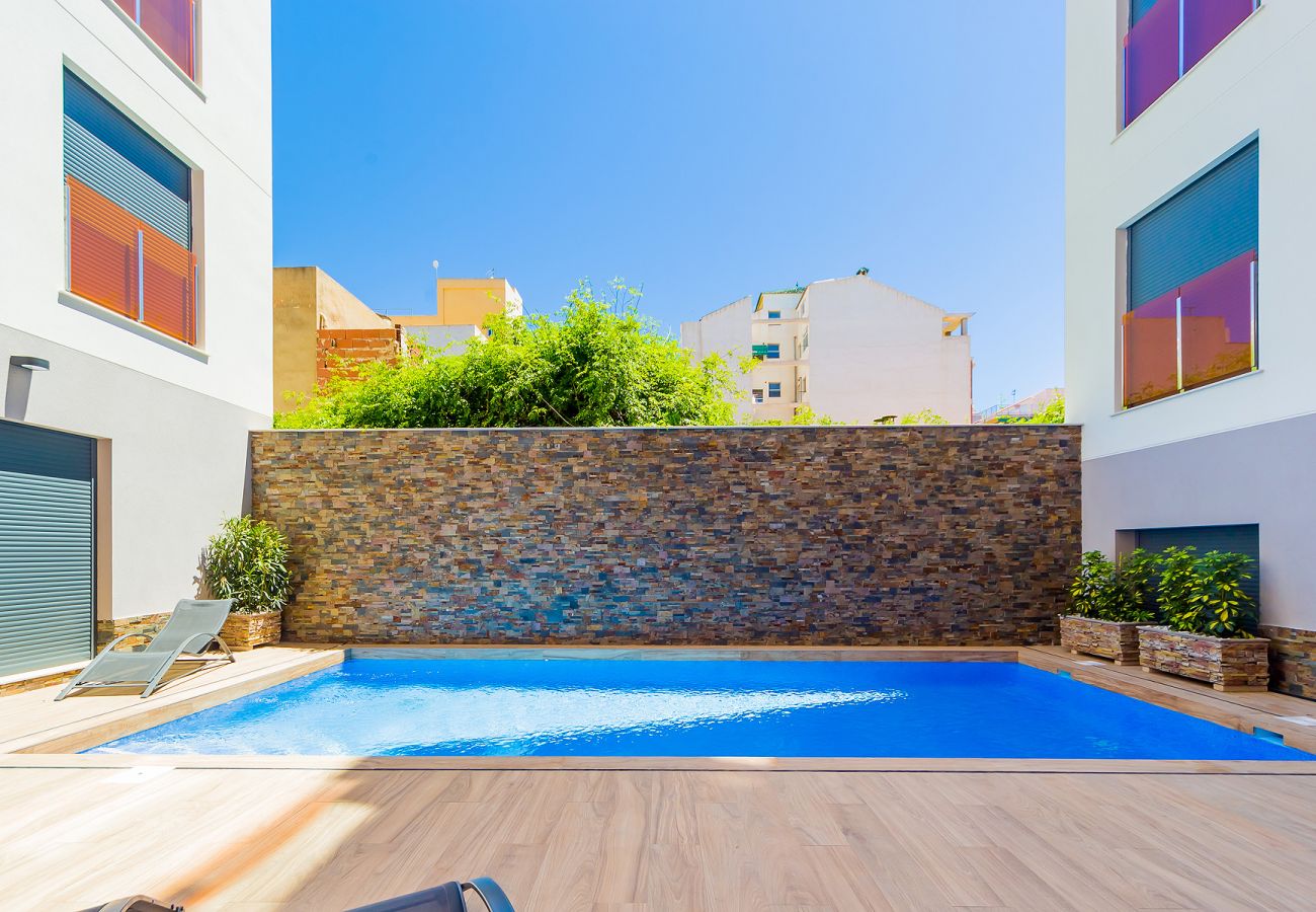 Estudio en Torrevieja - ID127