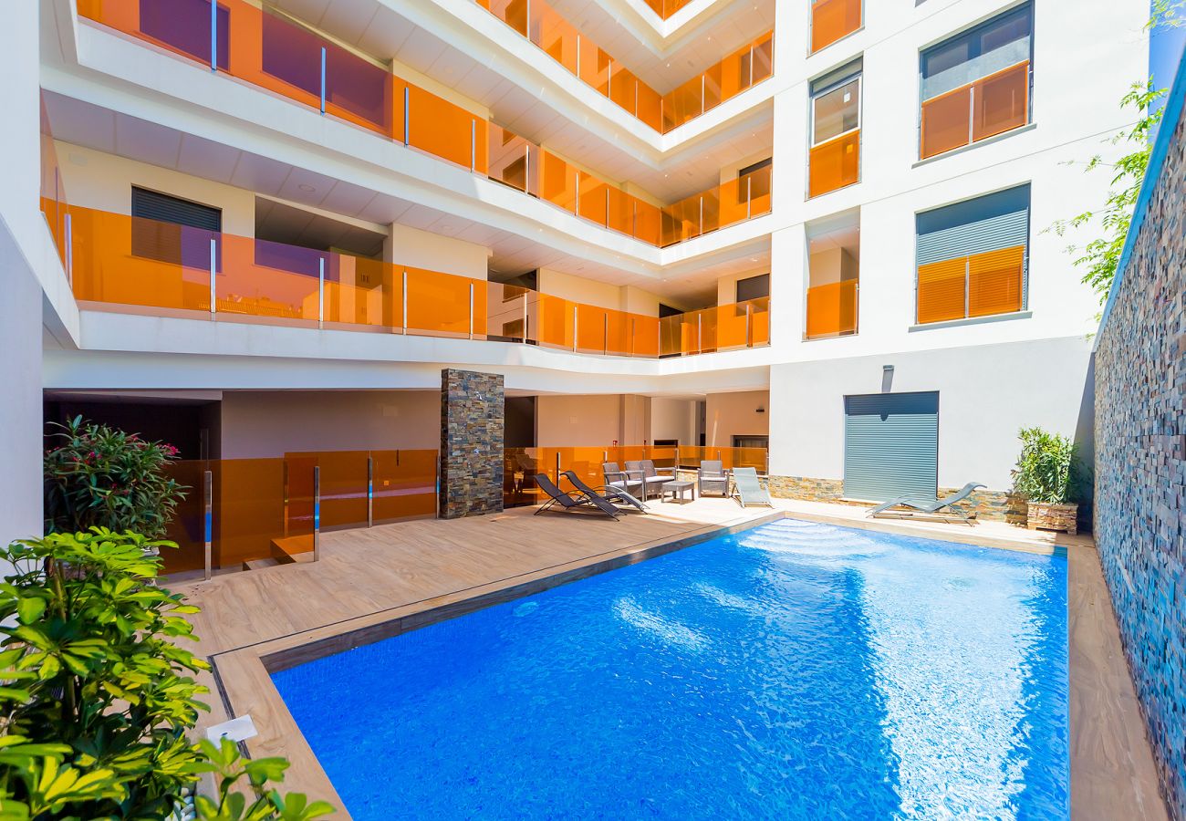 Estudio en Torrevieja - ID127