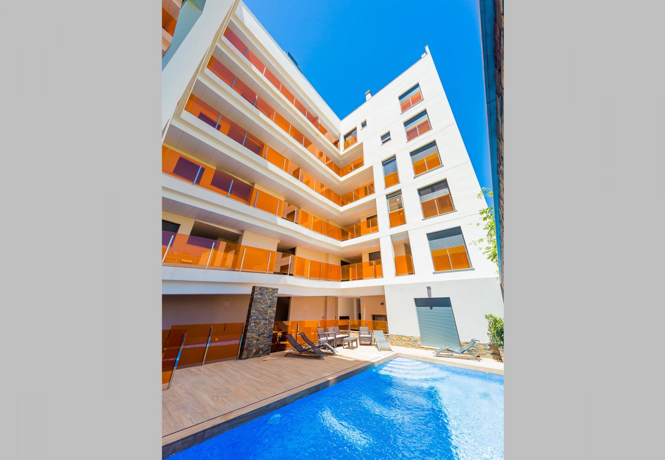 Estudio en Torrevieja - ID127
