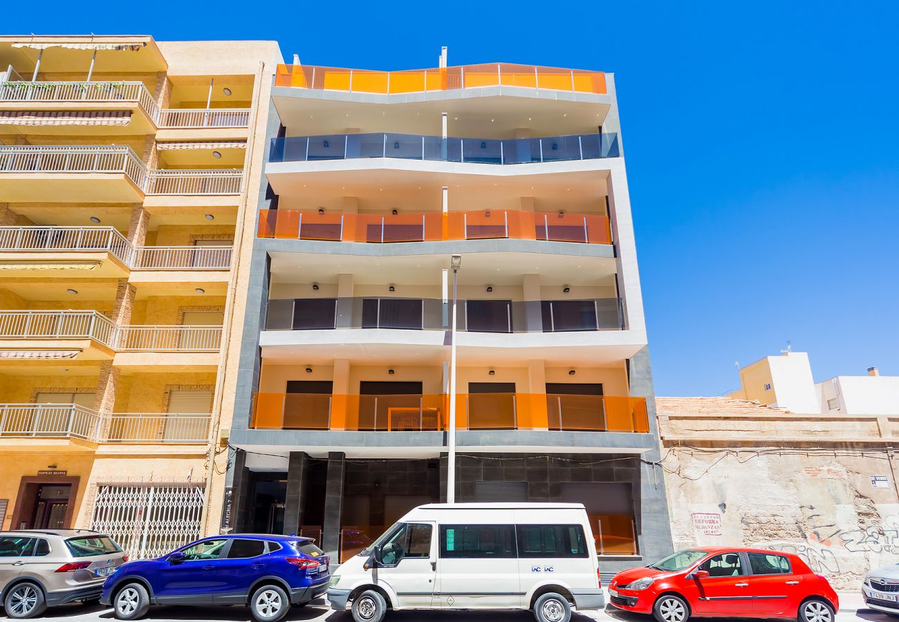 Estudio en Torrevieja - ID127