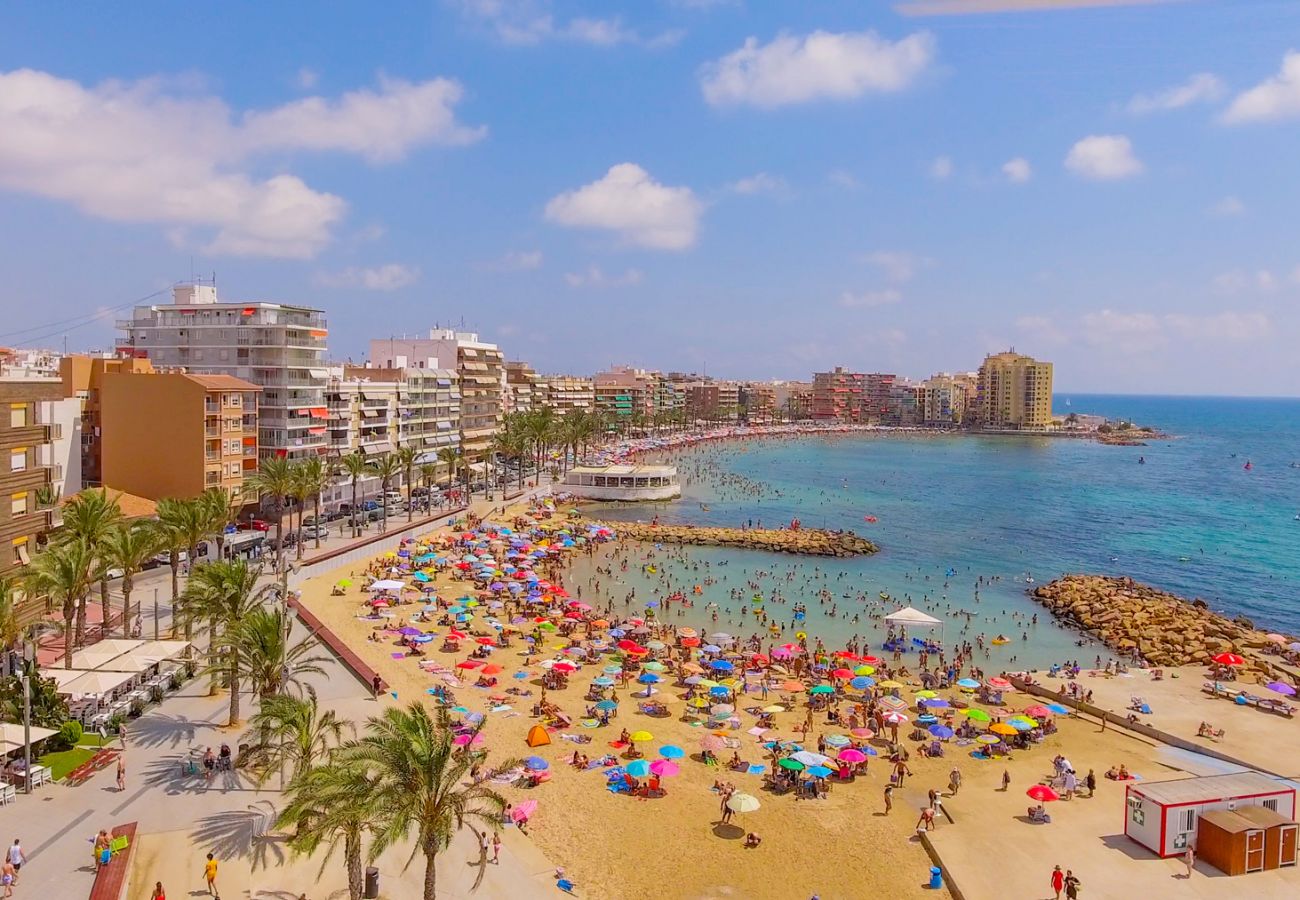 Estudio en Torrevieja - ID127