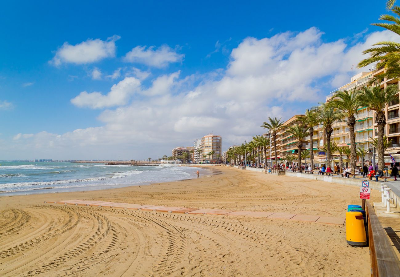 Estudio en Torrevieja - ID127