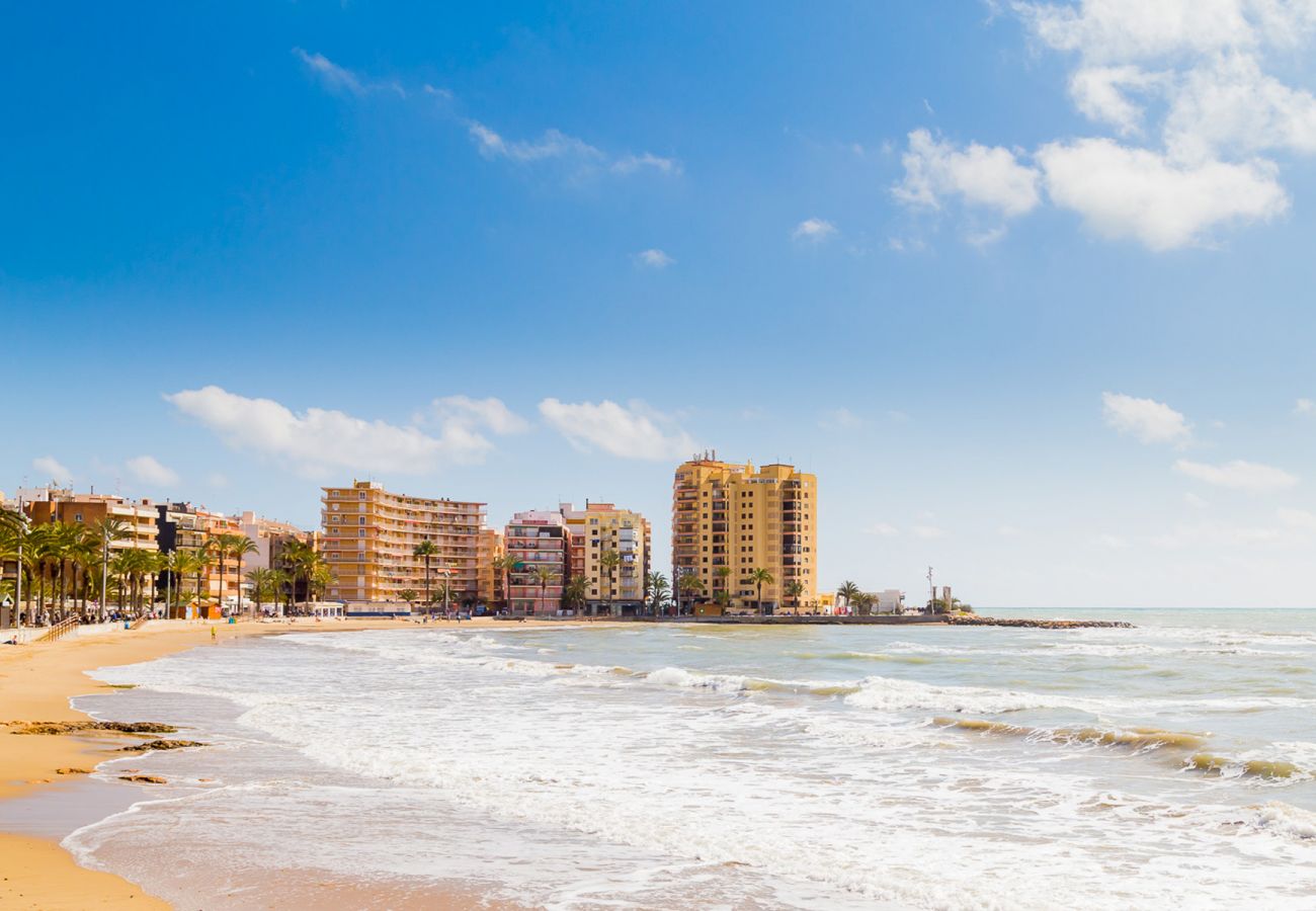 Estudio en Torrevieja - ID127