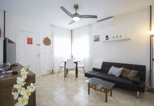 Apartamento en Torrevieja - ID100